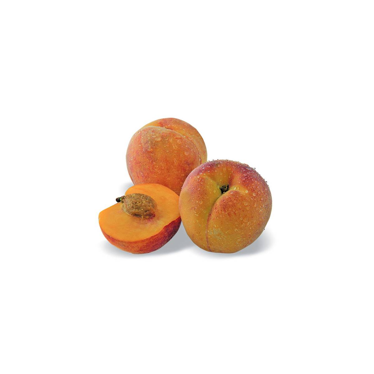 Pêcher nain pêche de poche® - nain de jardin®/prunus persica pêche de poche® - nain de jardin®[-]pot de 5l