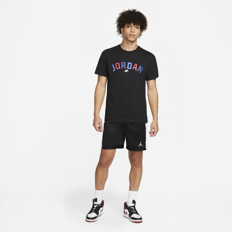 Nike Jordan Sport Dri Fit Mesh Traeningsshorts Sort