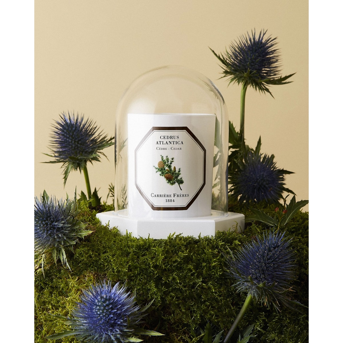 CARRIÈRE FRÈRES Le Dome - Socle &  Cloche Coffret Accessoires