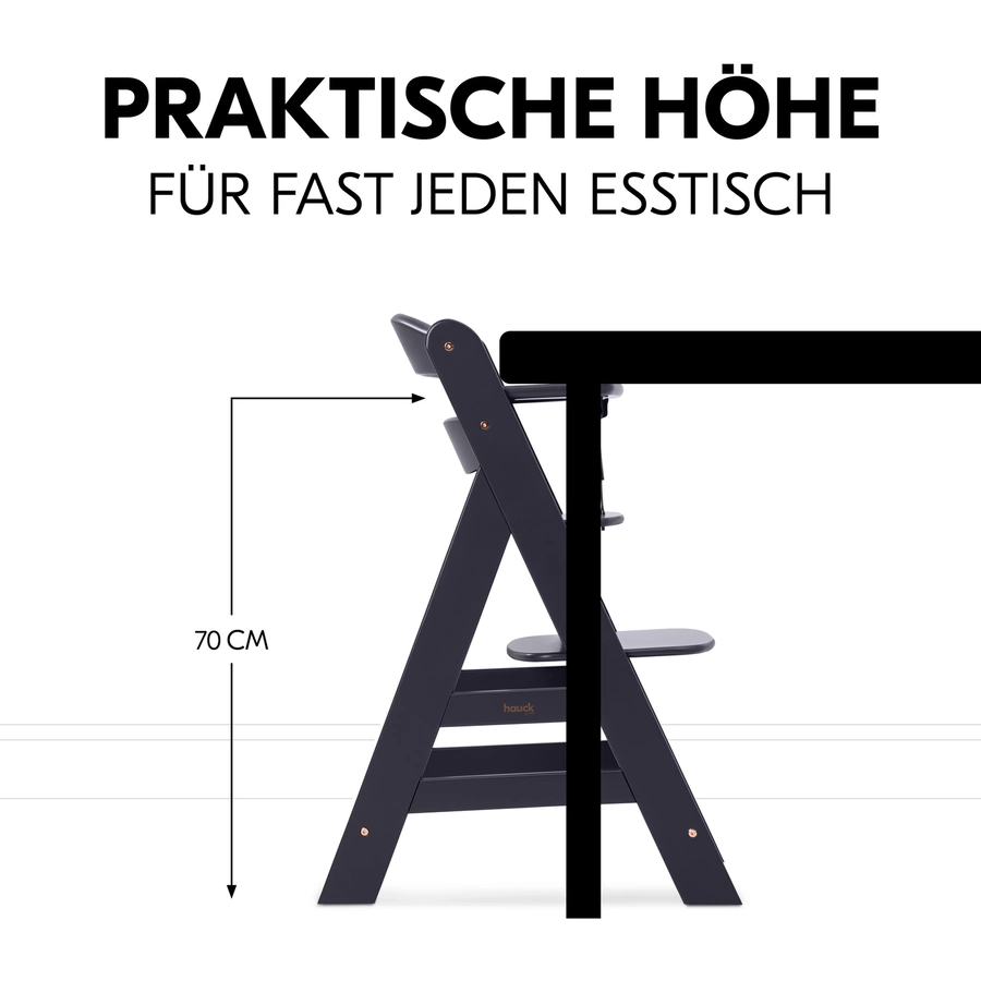 hauck Hochstuhl Alpha Plus Dark Grey