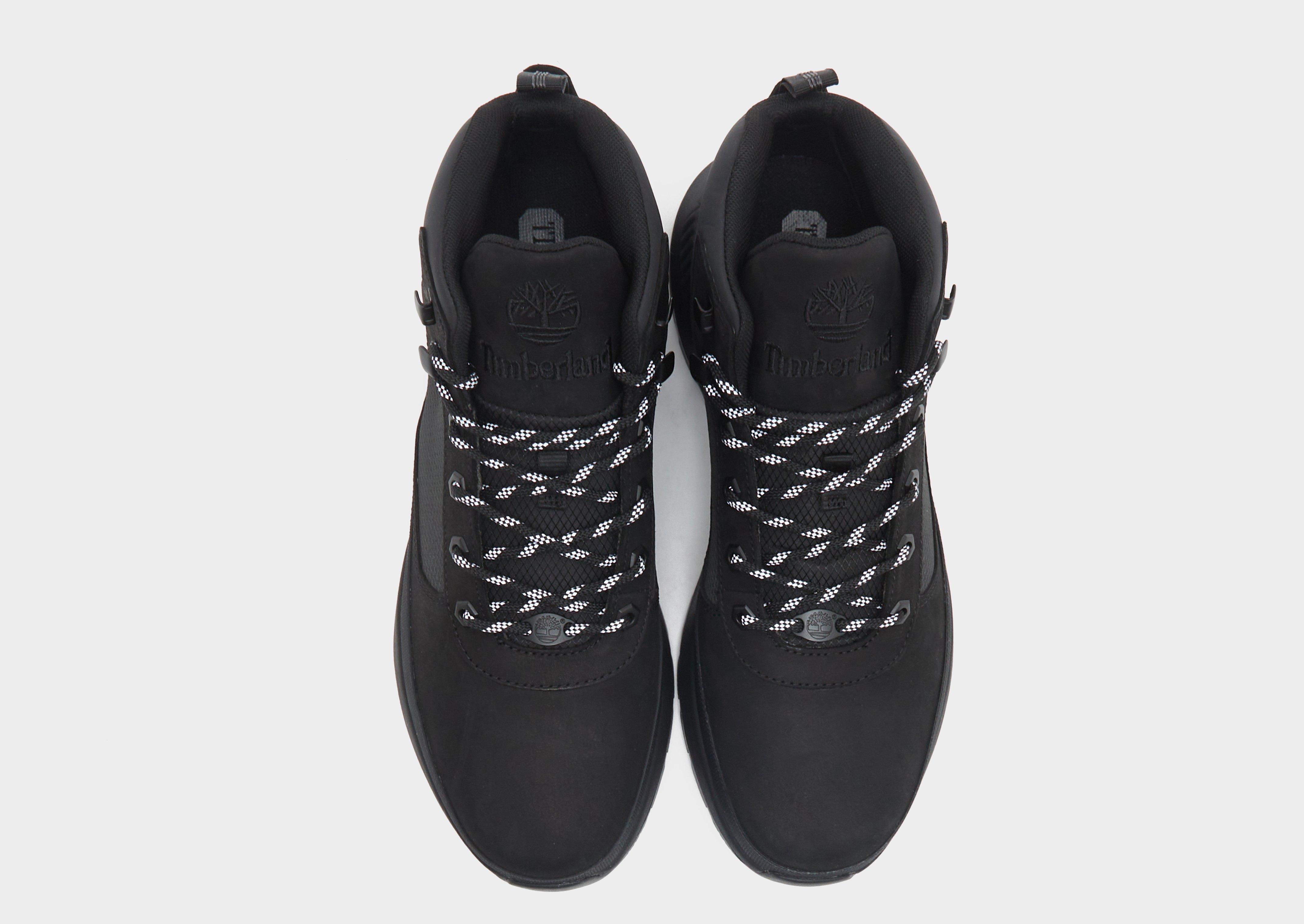 Timberland Field Trekker Homme