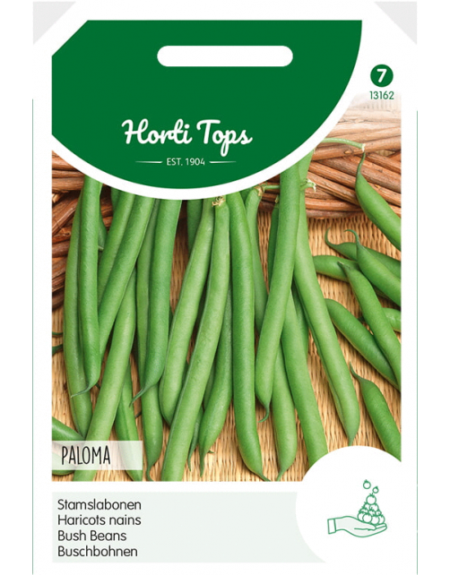 Hortitops Stamslabonen Paloma - Groentezaden - 100 g