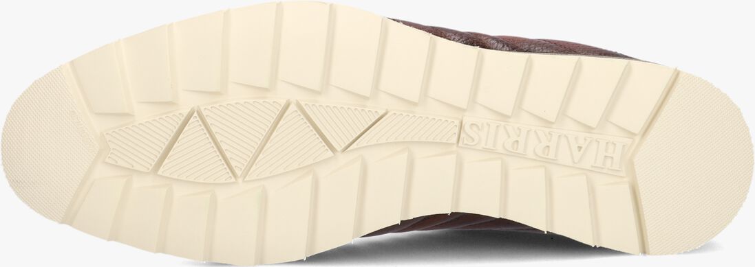 bruine harris sneakers 0894