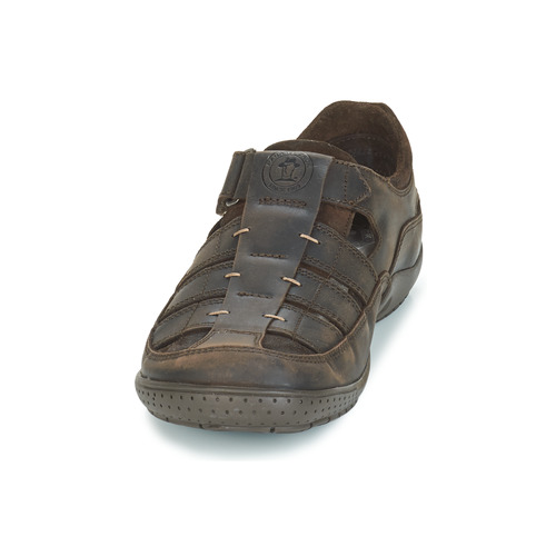 Panama Jack - MERIDIAN - Marron