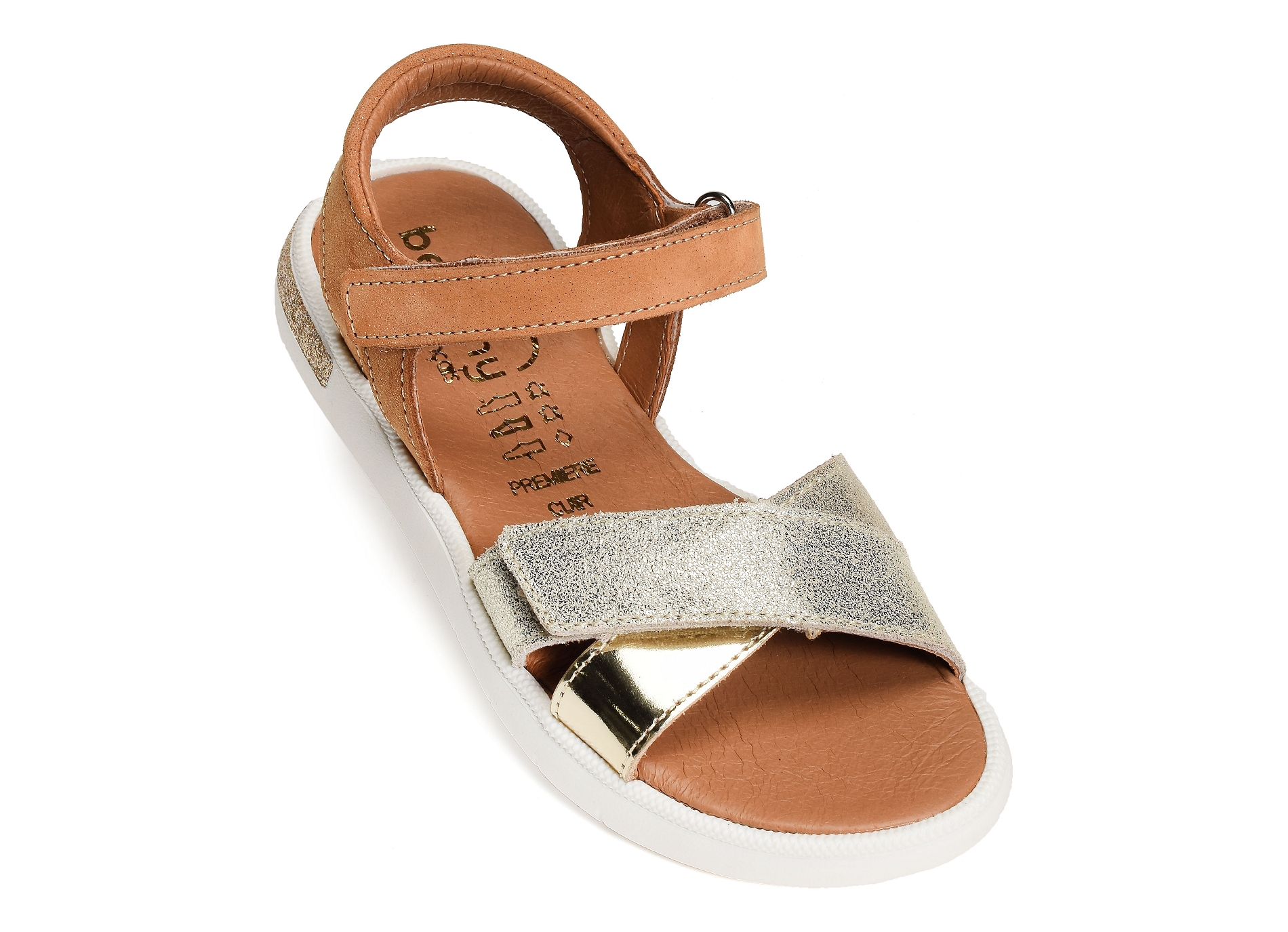 Evi camel or
