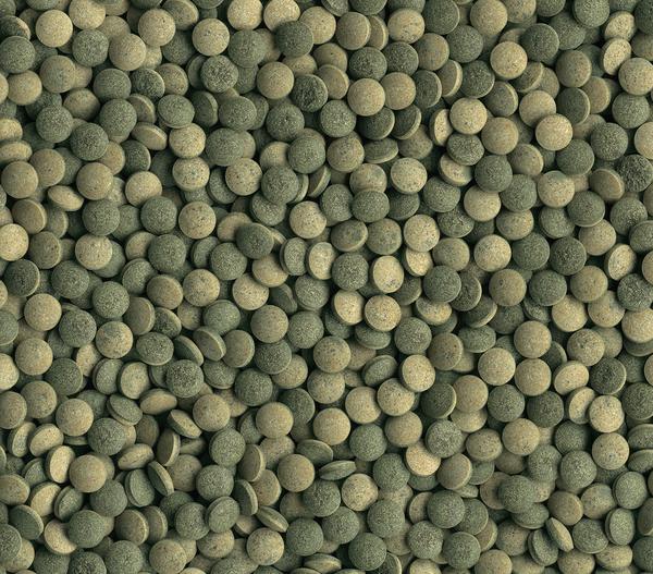 Fischfutter Tetra Pleco Tablets