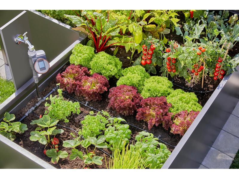 GARDENA Start-Set Tropfbewässerung für Hochbeete Micro-Drip Für eine zuverlässige Tropfbewässerung von bis zu 35 Pflanzen in Beeten und Hochbeeten