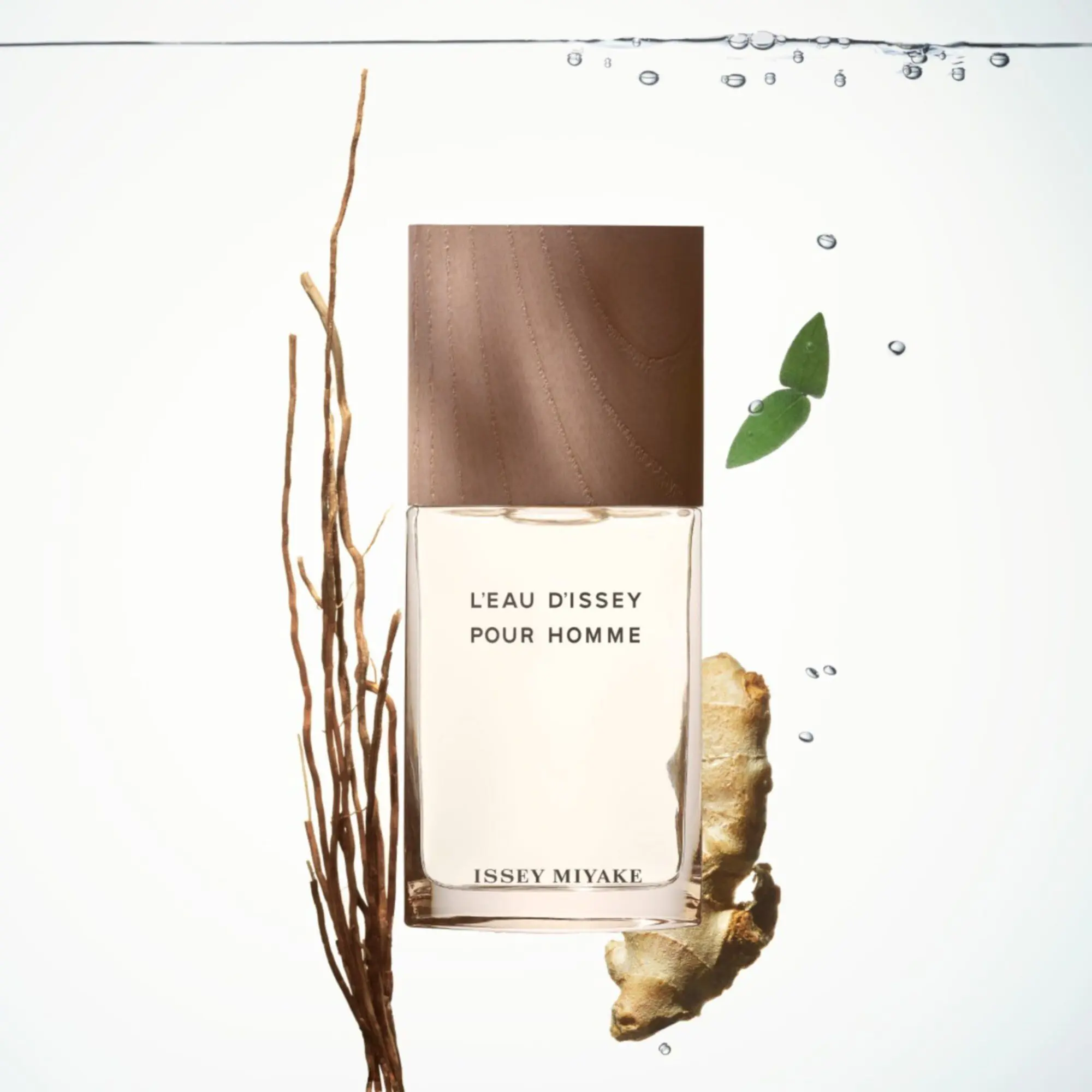 Issey Miyake - L'Eau d'Issey pour Homme Vétiver Eau de toilette Intense- Eau de toilette