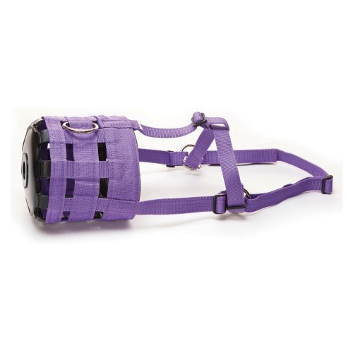 focinho roxo