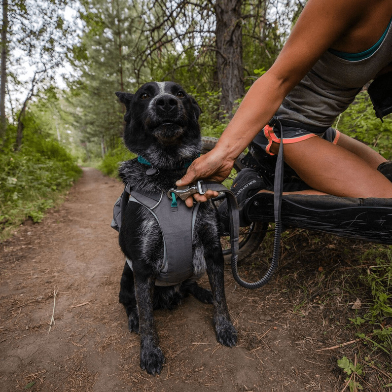 Ruffwear Roamer Hundeleine