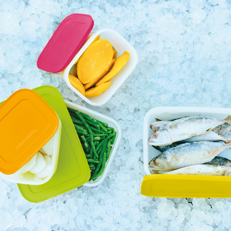 Mittleres Eiskristall-Set (5) Das Gefrierbehälter-Set für mehr Ordnung im Tiefkühlschrank