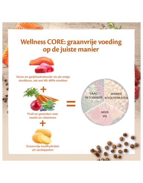 Wellness Core Grain Free Cat Sterilised Zalm - Kattenvoer