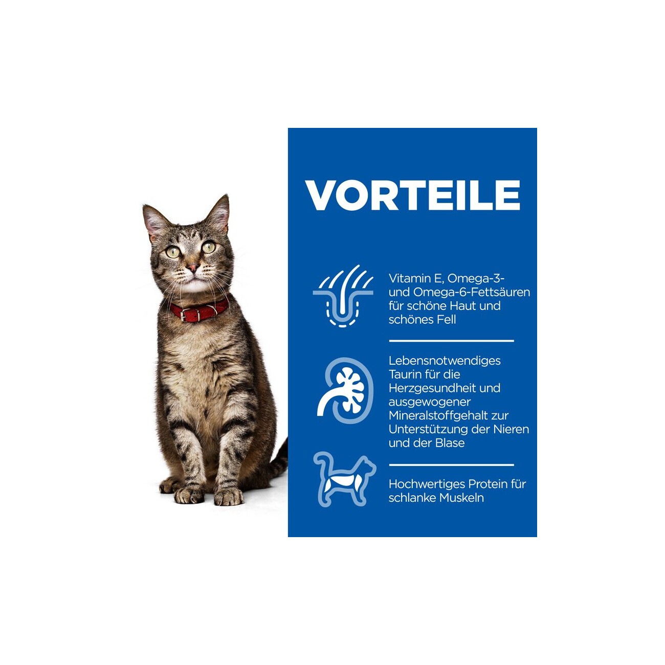 Hill's Science Plan Adult Lamm und Reis 1,5 kg