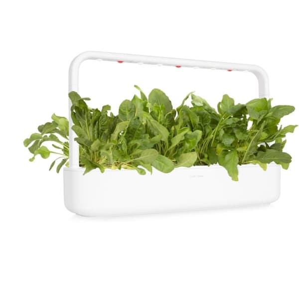 Click & Grow Smart Garden refill Grønn Chard 3stk