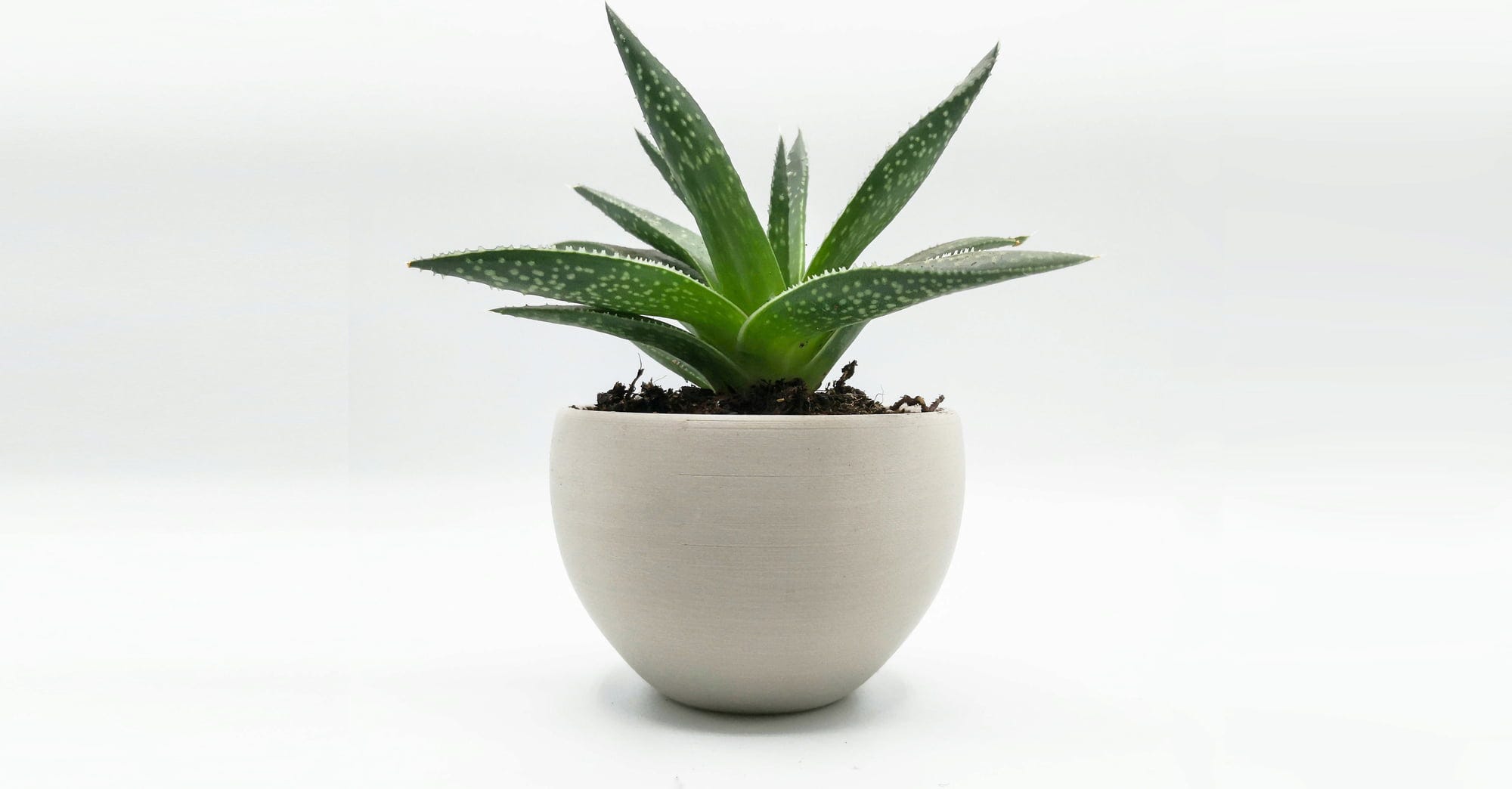 Recreus  PLA Purifier Mineral, 1,75 mm / 750 g    Nachhaltiges Filament zur Reduzierung von CO2 und schädlichen Gasen