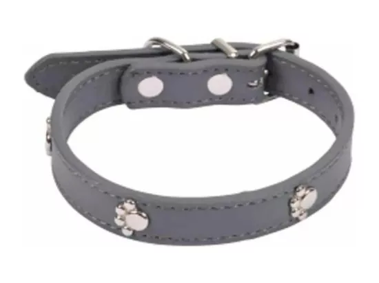 Collier Fantaisie pour Chien 