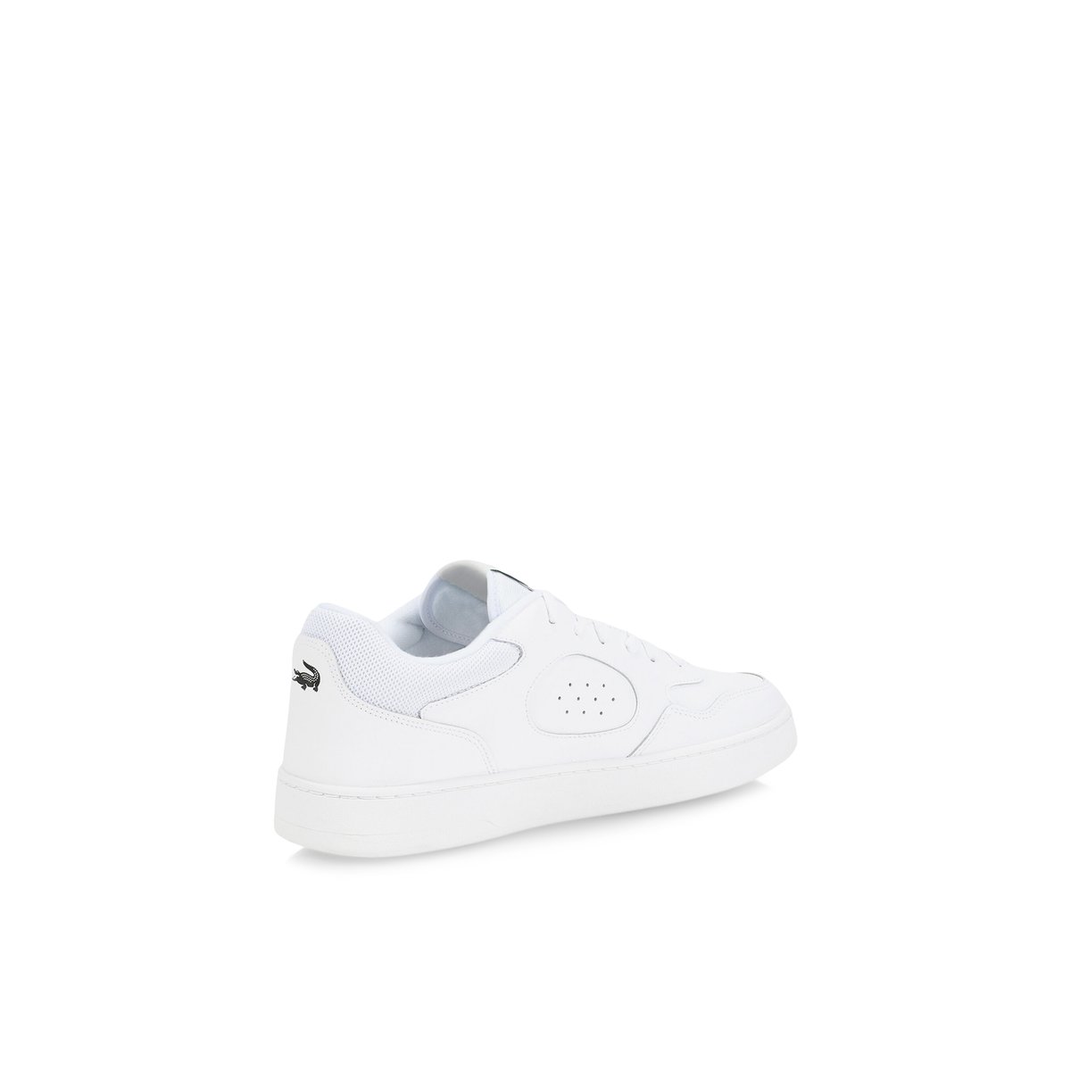 LACOSTE-Lineset-m-Baskets - Talon plat - Blanc