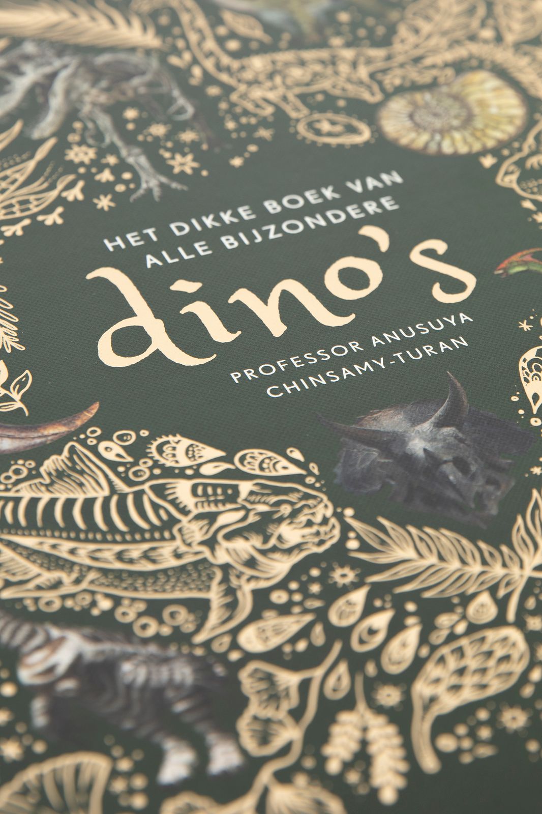 Het dikke boek van bijzondere dino's