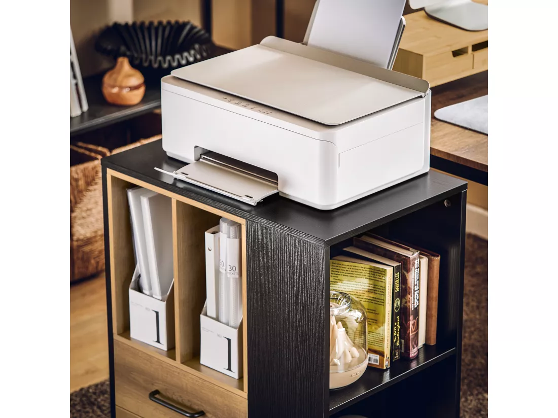 SoBuy ASK01-PF Caisson de Bureau Support Imprimante Roulant Organiseur Bureau Mobile Caisson avec Tiroirs et Compartiments, Meuble de Rangement Bureau - 60x40x75 cm
