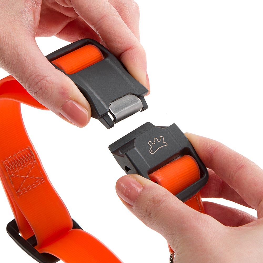 Collier pour chiens evolution c25/56 avec boucle magnétique, hypoallergénique, lavable, vert
