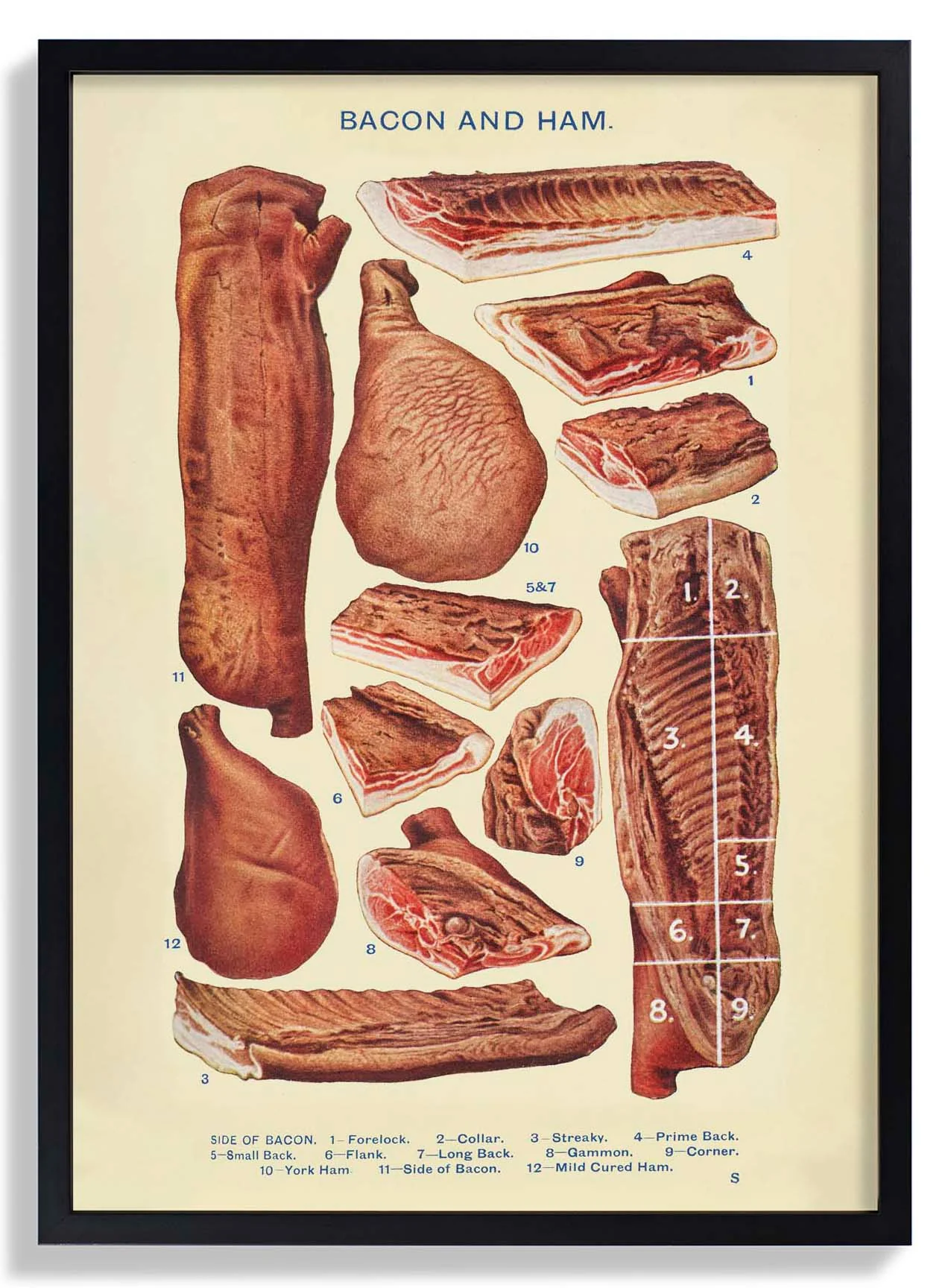Speck & Schinken aus Mrs. Beetons Haushaltsführung