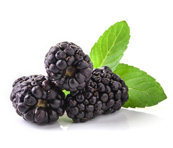 Brombeer-Set Brombeer-Bowl, 4-teilig