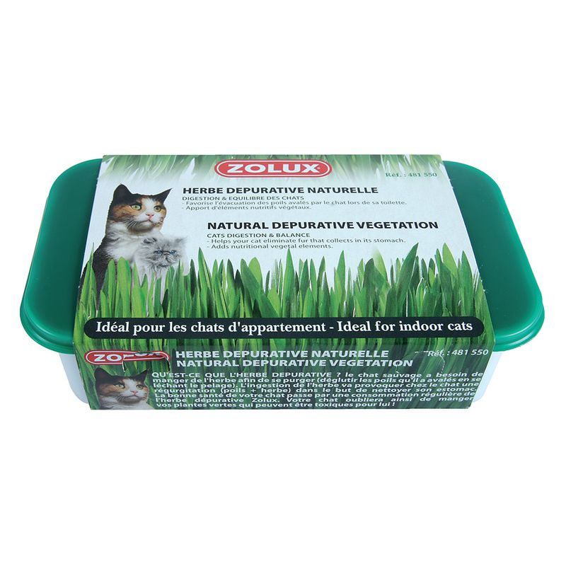 Herbe à chat Zolux