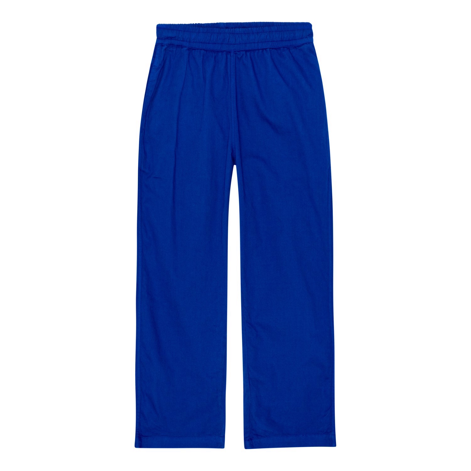 Aster - Reef Blue