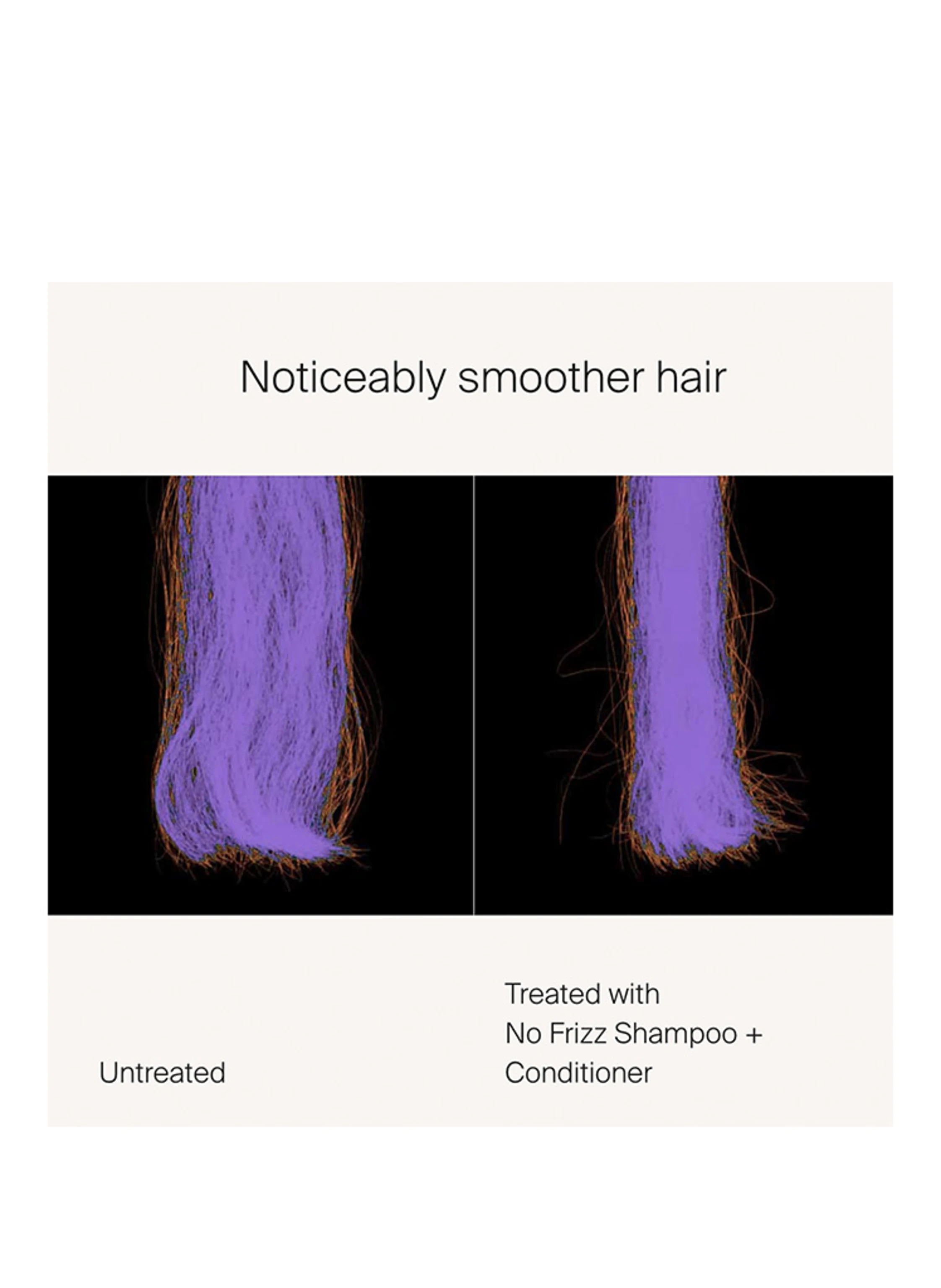 LIVING PROOF NO FRIZZ