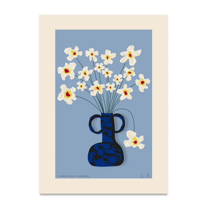 Paper Collective - Flower Studies 04 (Stjärnöga) Poster, 50 x 70 cm