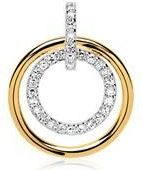 Hanger cirkelt met 14 karaat gouden Diamanten