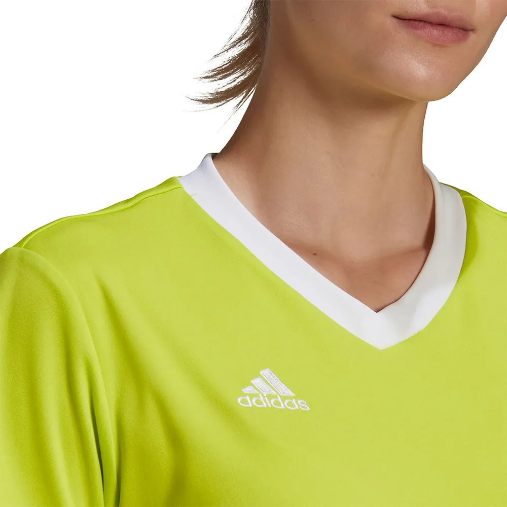Camiseta de manga curta adidas Entrada 22