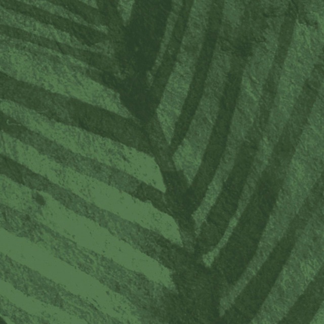 Komar Fototapete »Digitaldruck Vlies -  Botanic Harmony - Grösse 500 x 250 cm« bedruckt glatt Wohnzimmer, Schlafzimmer