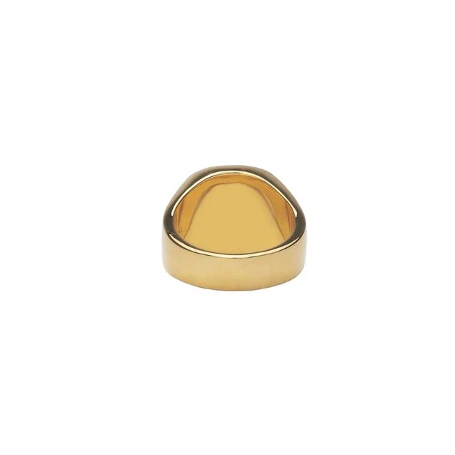 IX STUDIOS  IX Cushion Signet Hawks Eye ring - forgyldt