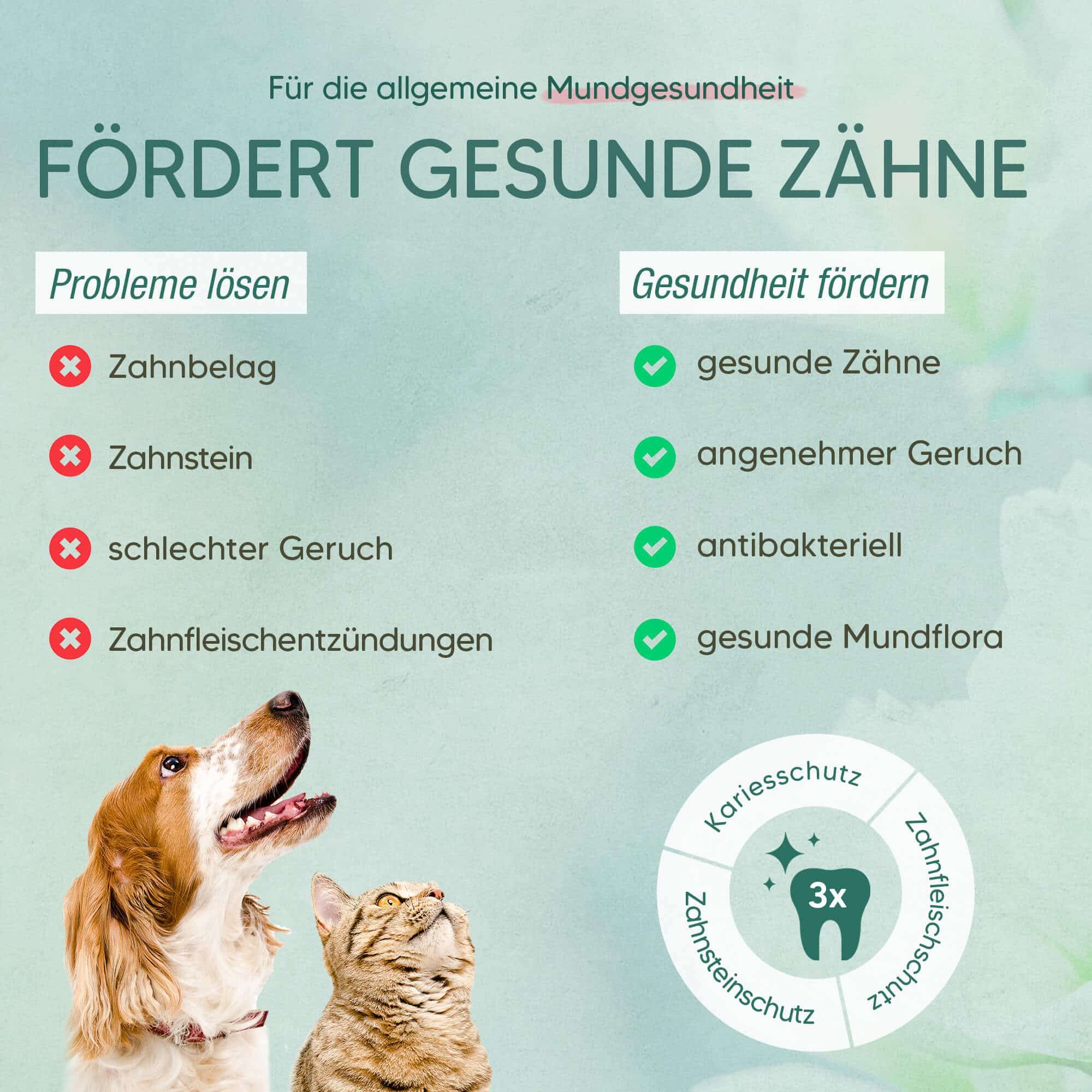 Pawlie's Zahnpflege-Set für Hunde & Katzen