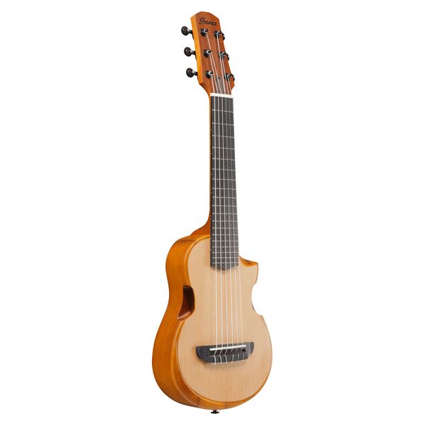 Ibanez AUP10N-OPN
