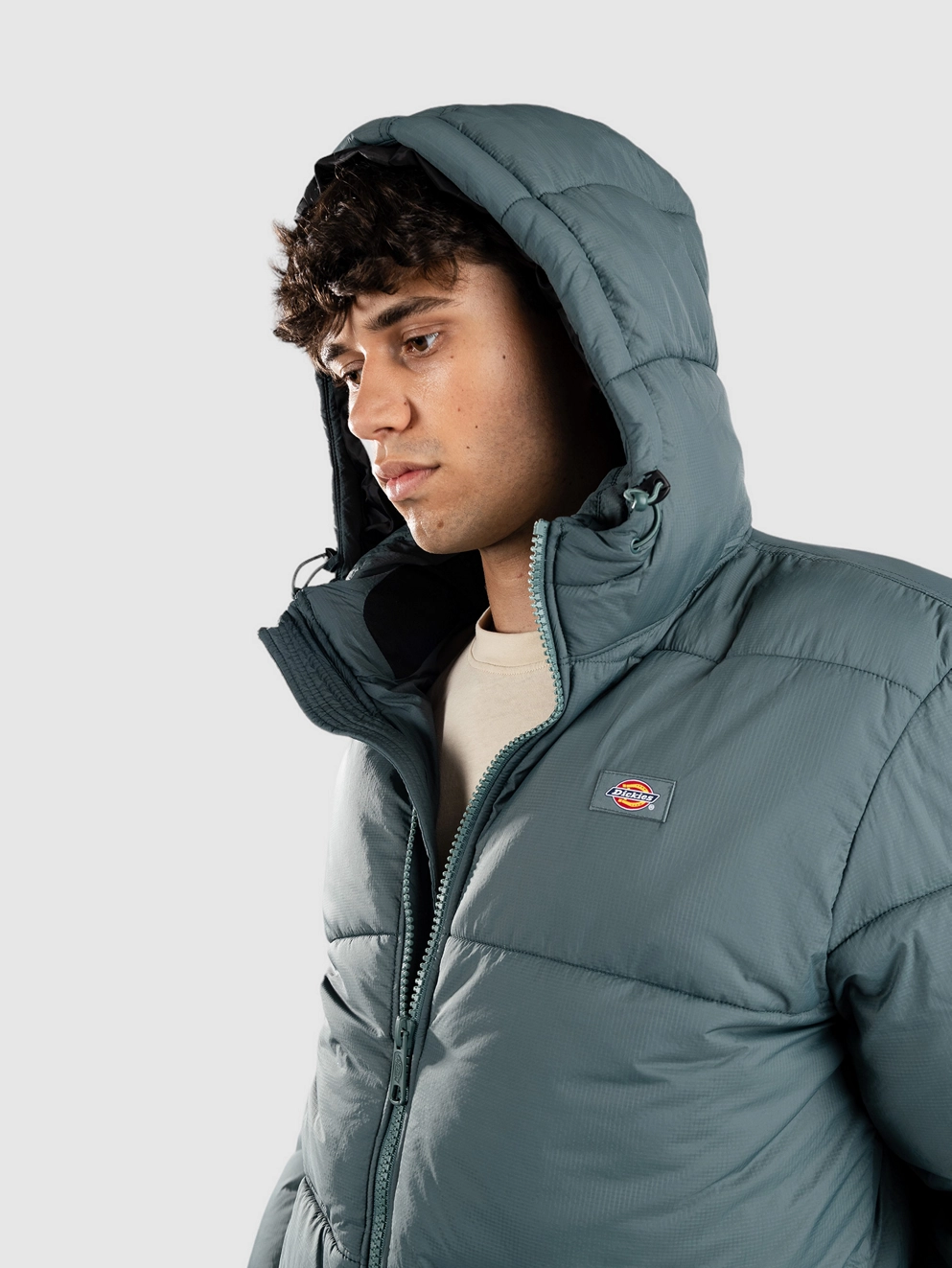 Dickies Waldenburg Hooded Jacket lincoln green
