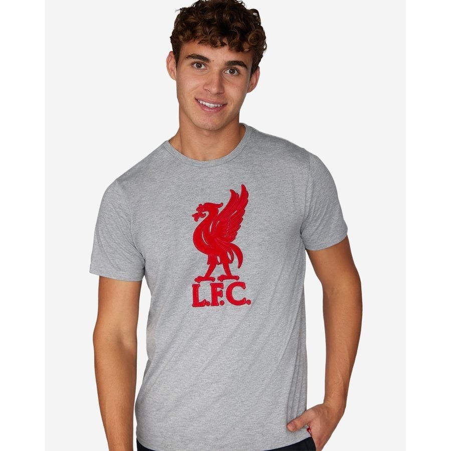 Liverpool T-Shirt Liverbird - Gris
