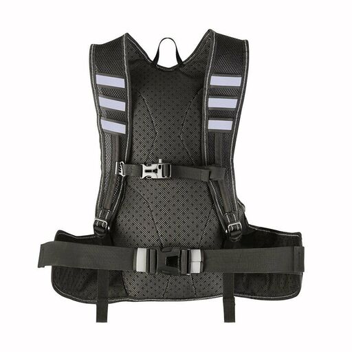 Proviz Reflect360 Mochila Para Correr 10l