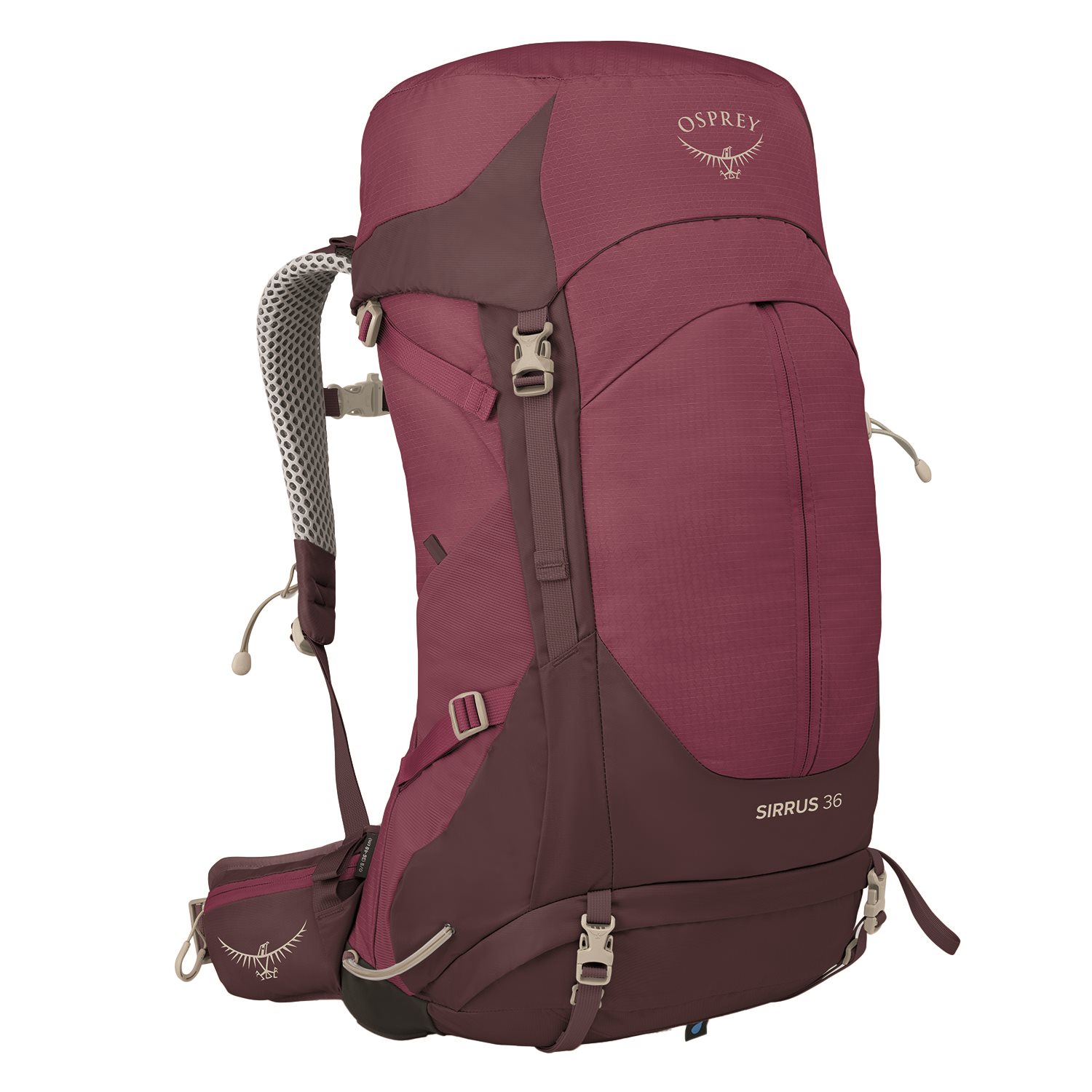 Osprey Sirrus 36 elderberry purple/chiru tan