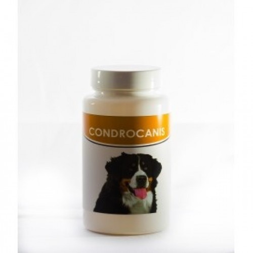 Cloel Chondrocanis Condroprotetor para Cães