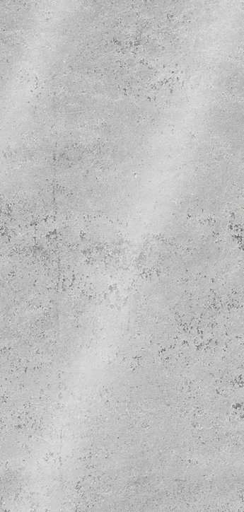 Lot de 2 panneaux muraux de salle de bains l.100x255 cm, gris clair brillant, Schulte DécoDesign