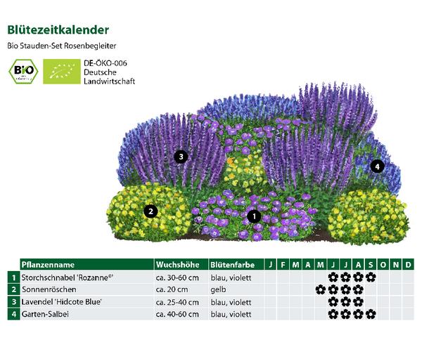 Bio Stauden-Set Rosenbegleiter, 12-teilig