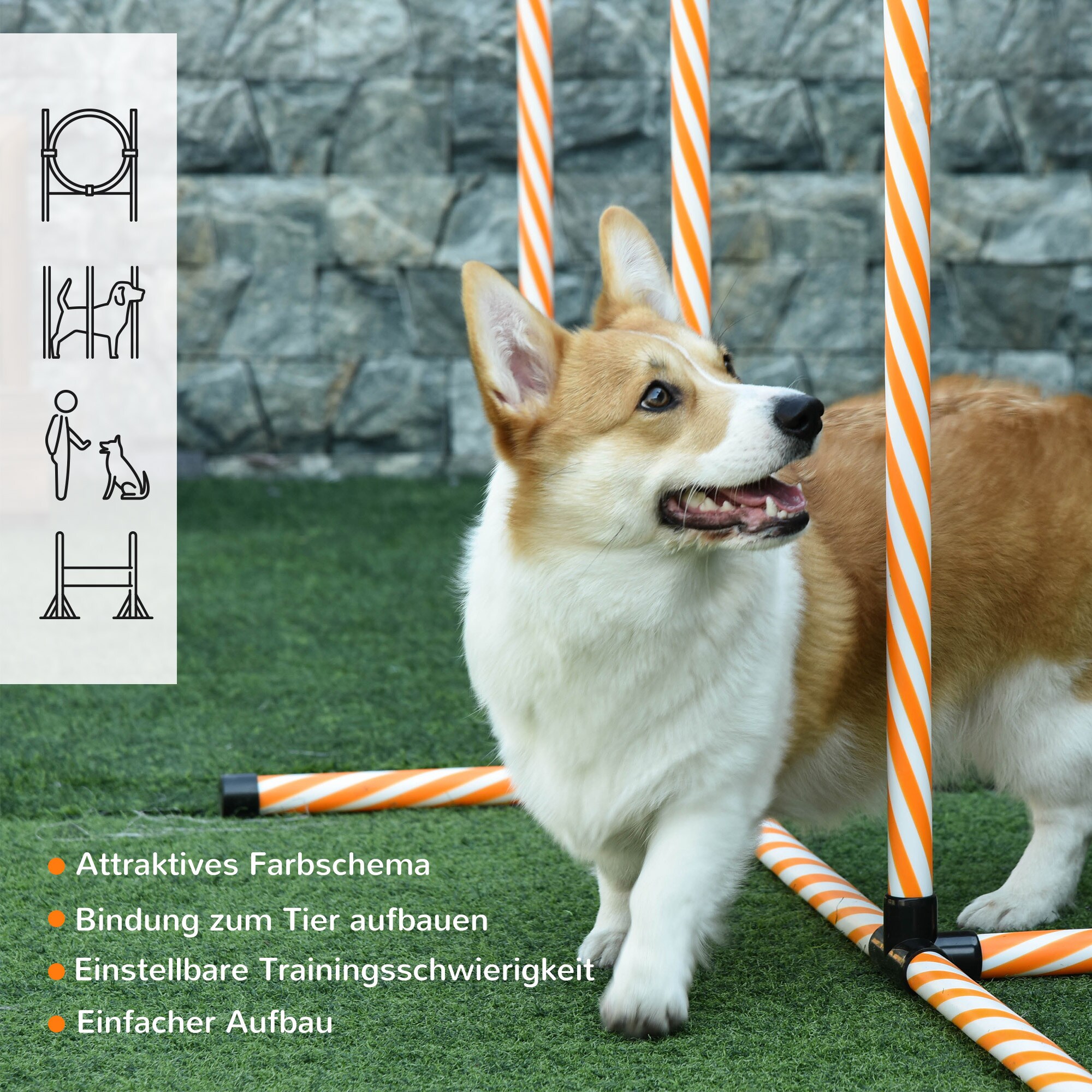 PawHut Hunde Agility Set 5-teilig orange, weiß 328 x 67 x 93 cm (LxBxH)