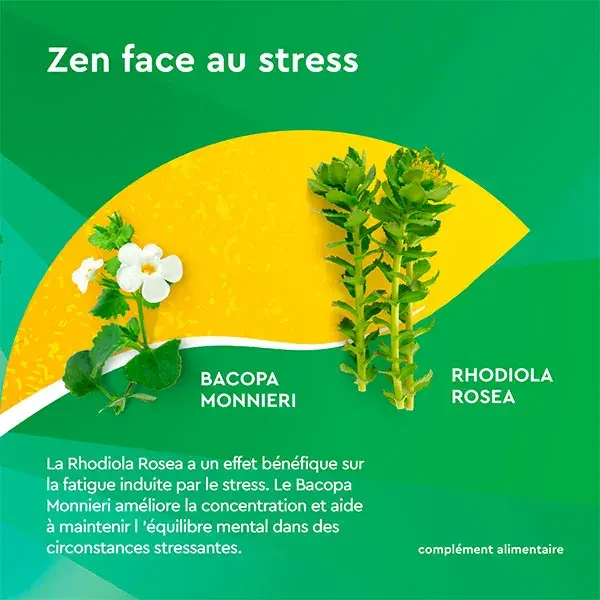 Euphytose Stress Concentration 30 comprimés + Berocca Boost vitamines 30 comprimés effervescents