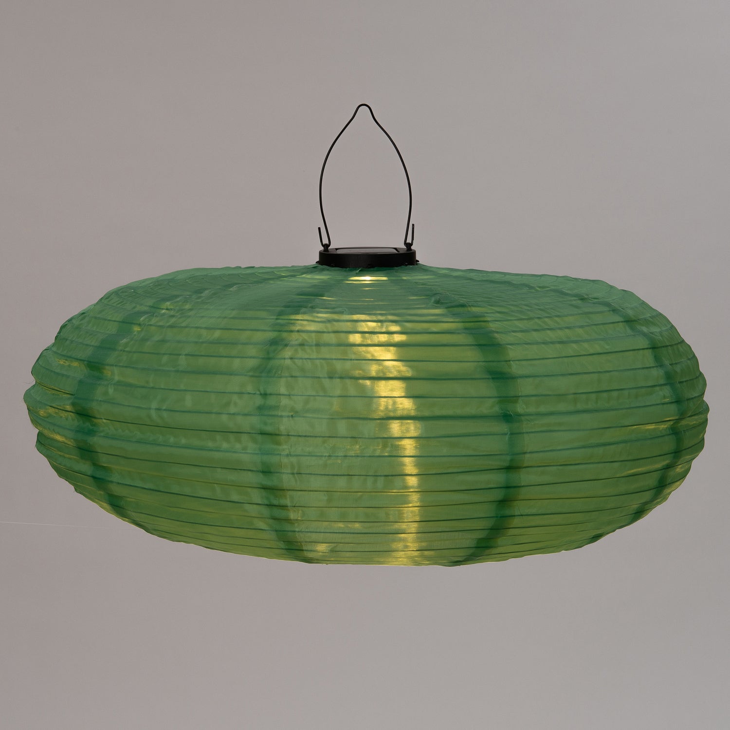 Intratuin solar lampion groen D 50 H 48 cm