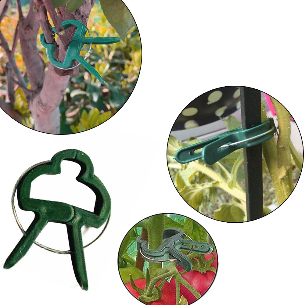 (20er Set) Garten Pflanzenklammern Pflanzenclips Rankhilfe - Grün / Silber