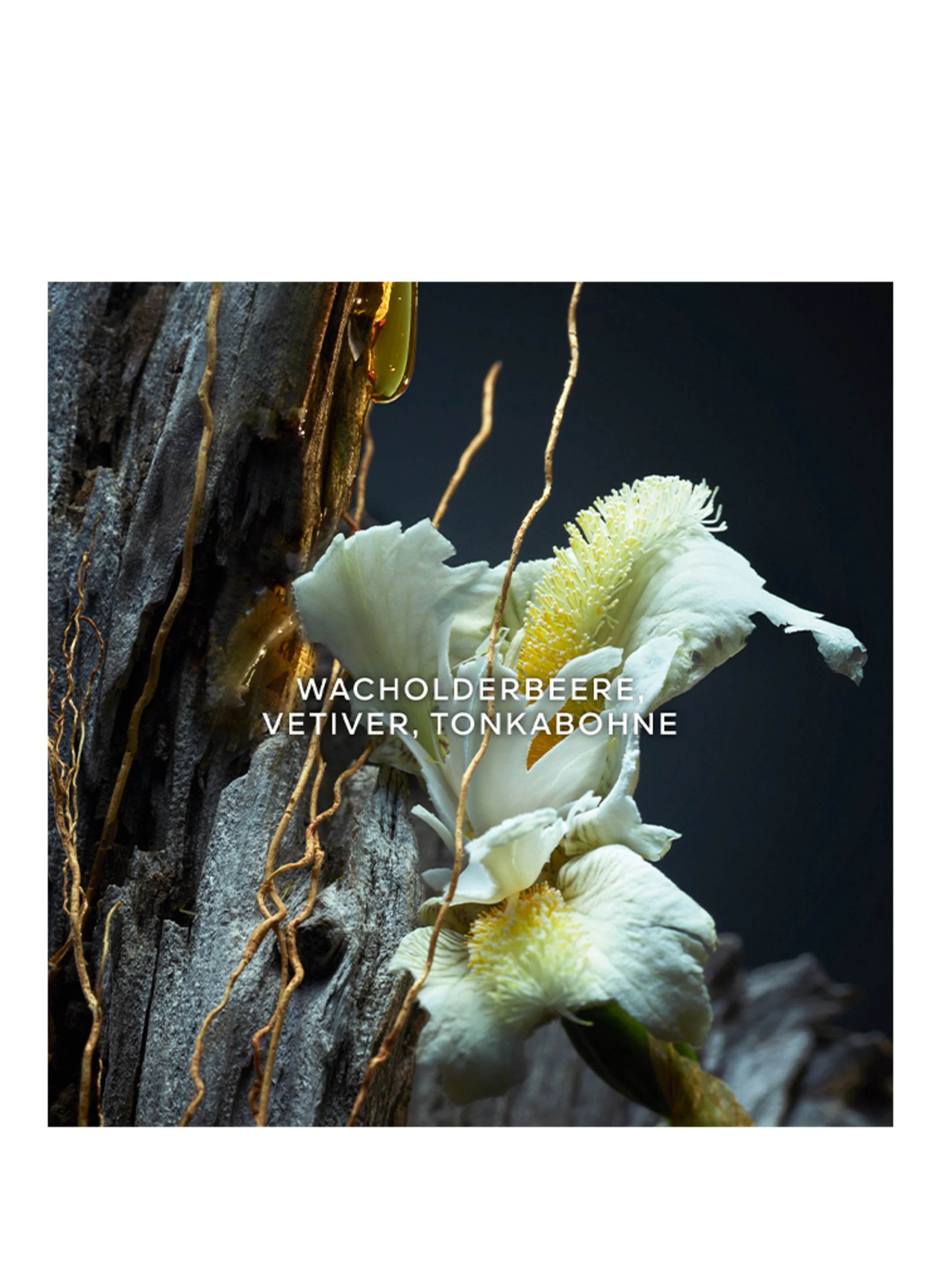 GUERLAIN VETIVER