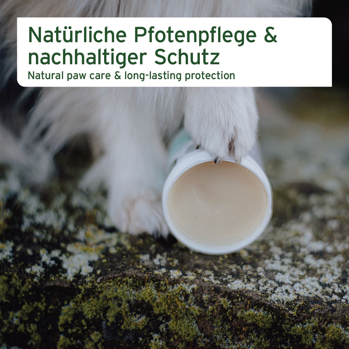 AniForte Pfotenschutz Balsam