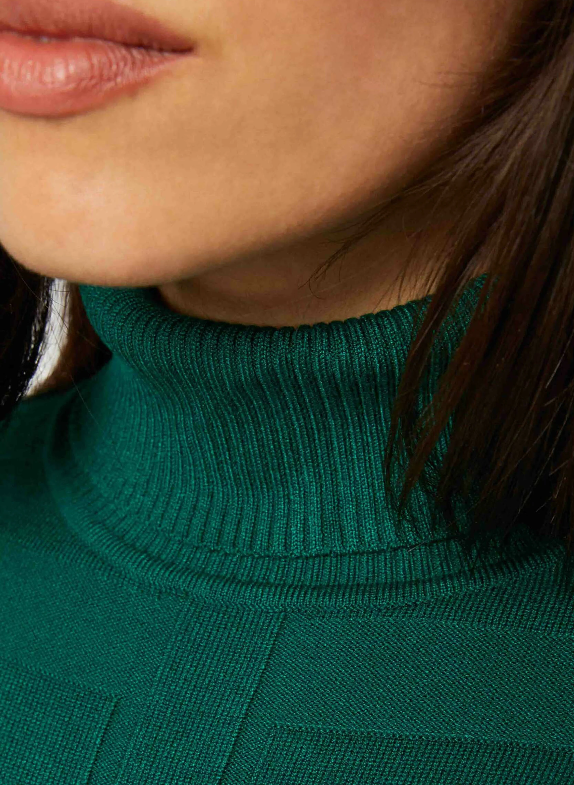 Pull col roulé | Vert